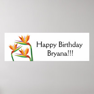 Póster Pássaro do Paraíso Bandeira Tropical