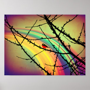 Poster Pássaro e arco-íris