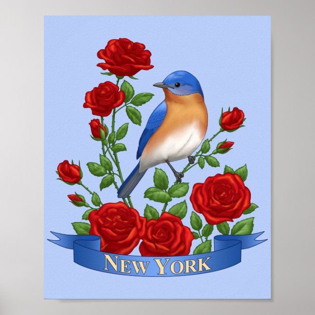 Póster Pássaro e Flor do Estado de Nova York (Frente)