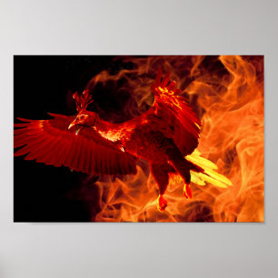 Poster Pássaro em Fogo