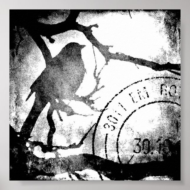 Poster Pássaro em uma ramificação, preto e branco (Frente)