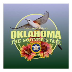 Póster Pássaro & flor de estado de Oklahoma