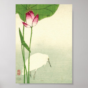 Póster Pássaro Japonês do século XIX