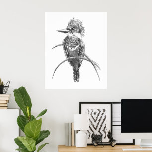 Poster Pássaro Martim-Pescador Aquarela Arte Da Natureza