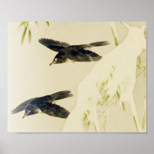 Poster Pássaro na cena da neve, Watanabe Seitei