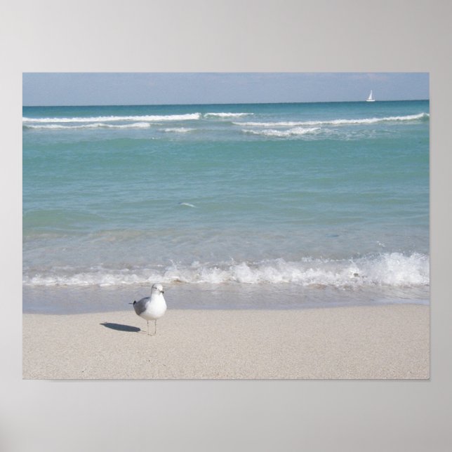 Póster Pássaro na praia (Frente)