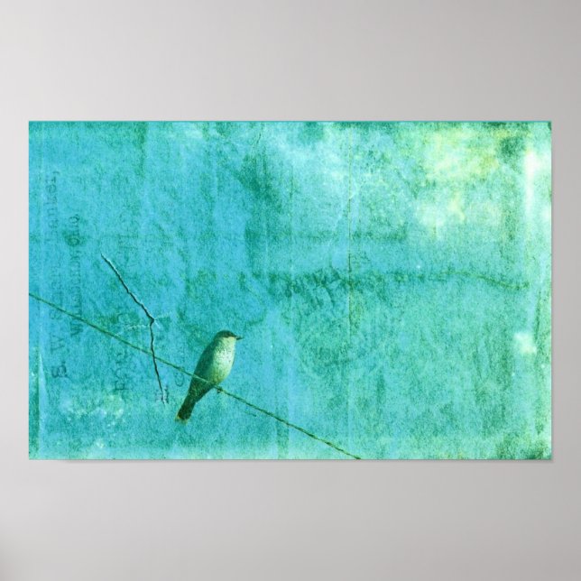 Póster Pássaro num fio (Frente)