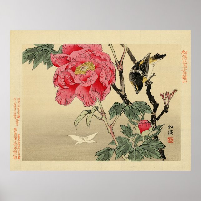 Póster Pássaro observando uma borboleta (Frente)