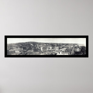 Póster Pássaro-olho da foto 1914 do manganês de Duluth