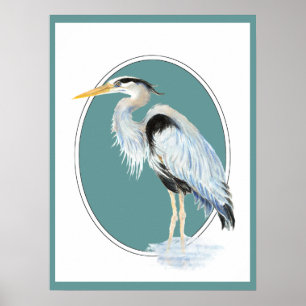 Póster Pássaro original da garça-real de grande azul da