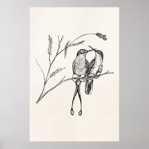 Póster Pássaro personalizado colibri da cauda da raquete