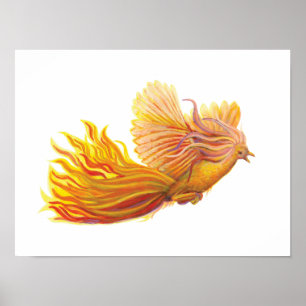 Poster Pássaro Phoenix Legendário