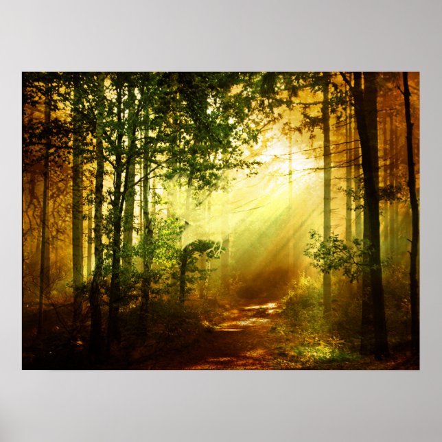 Póster Pássaro sol (Frente)