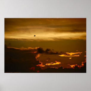 Póster Pássaro solitário em um céu de Firey (poster)