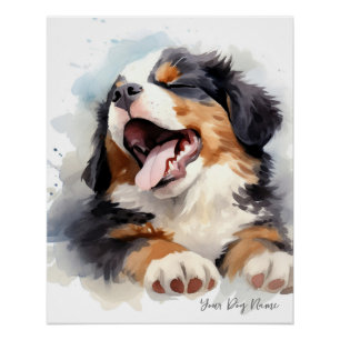 Póster Pássaro super giro dormindo cachorrinho Bernese Mo