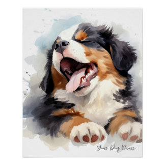 Póster Pássaro super giro dormindo cachorrinho Bernese Mo