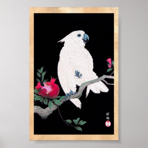 Póster Pássaro tropical branco japonês legal do papagai