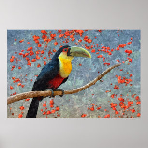 Poster Pássaro Tropical Toucan