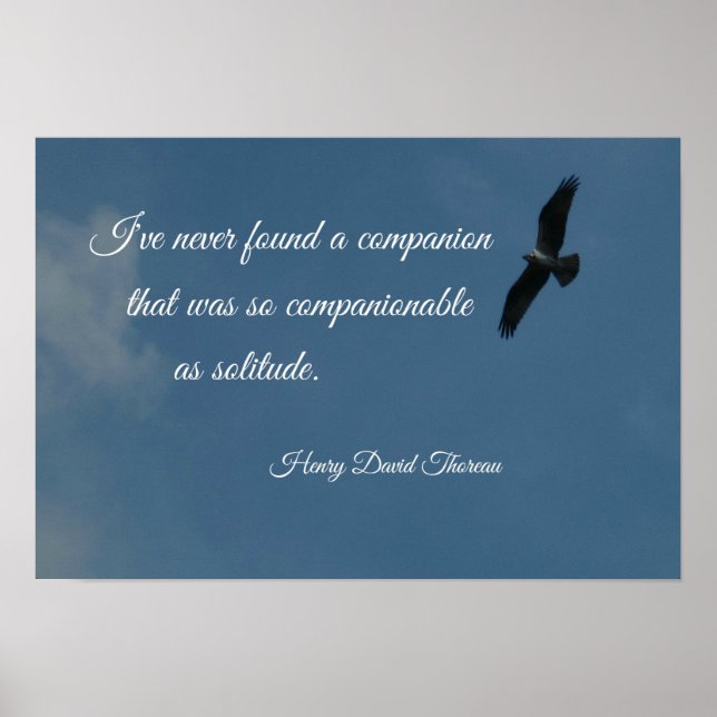 Póster Pássaro voando alto com uma citação sobre solidão. (Frente)
