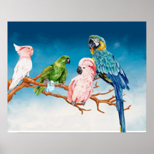 Poster Pássaros Aquarela Papanicolau Macaw Cockatoo Para