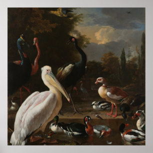 Póster Pássaros das belas artes