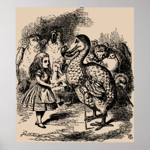 Poster Pássaros de Alice e de Dodo