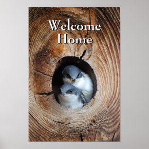 Poster Pássaros de bebê