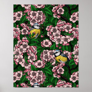Poster Pássaros de pele azul na cerejeira florescente na