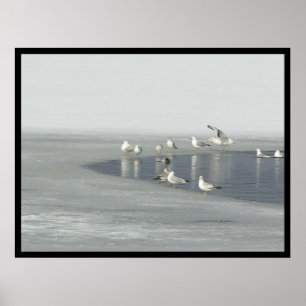 Póster Pássaros do inverno