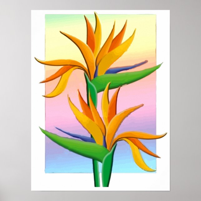 Poster Pássaros do Paraíso com Fundo do Arco-Íris Pastel (Frente)