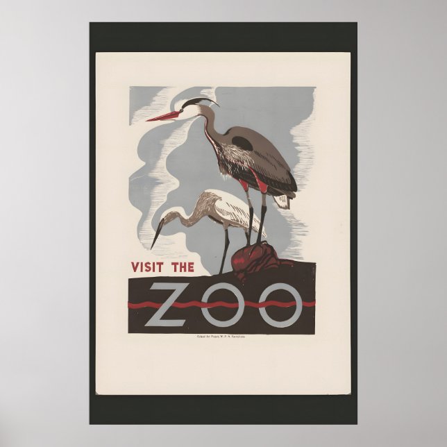 Poster Pássaros dos Anos 30 - Visite o Zoológico Clássico (Frente)