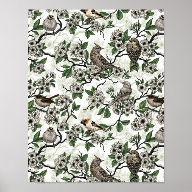 Poster Pássaros e flor de cerejeira em branco (Frente)