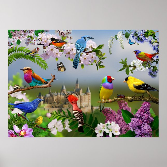 Poster Pássaros e flores Linda imagem com pássaros (Frente)