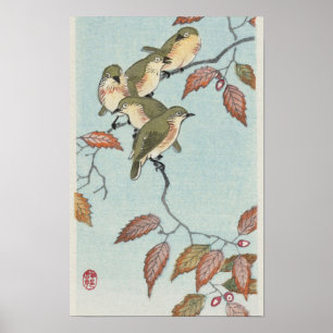 Poster Pássaros em um galho de Ohara Koson