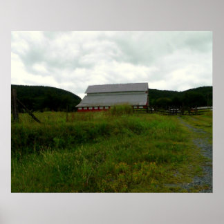 Póster Pássaros em um Red Barn