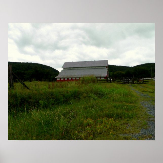 Póster Pássaros em um Red Barn (Frente)