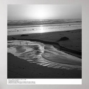 Poster Pássaros em uma praia, Papais noeis Barbara, 1966