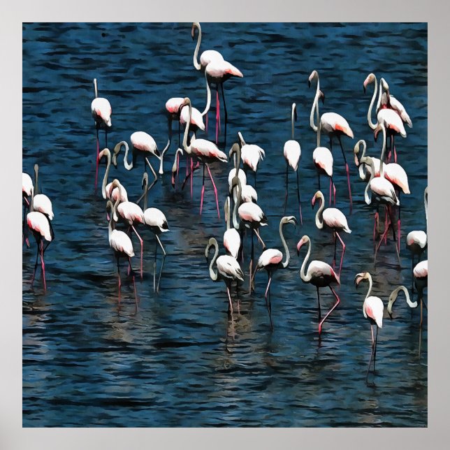 Poster Pássaros Flamingo, Cor-de-Rosa e Branco, Em Azul-I (Frente)