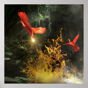 Poster Pássaros Íbis Escarlate “ROUBANDO A LUZ”