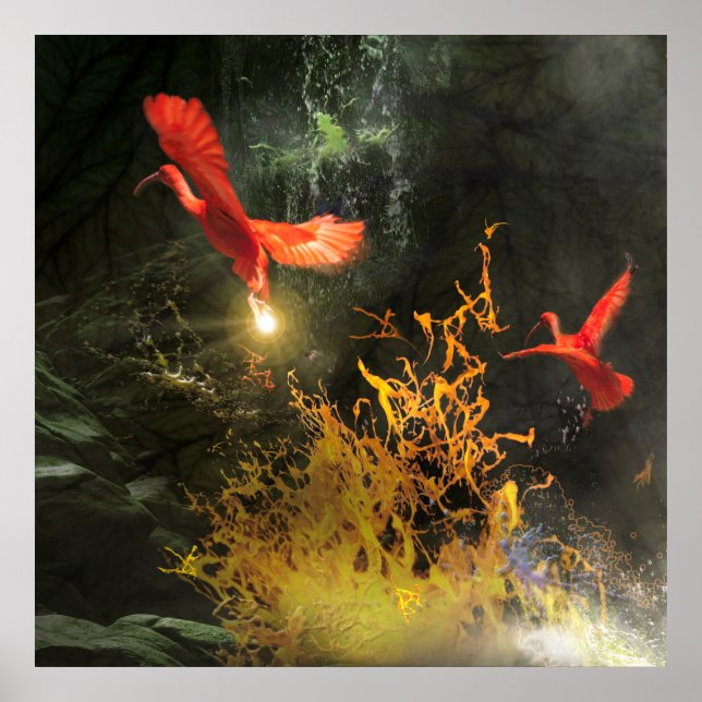 Poster Pássaros Íbis Escarlate “ROUBANDO A LUZ” (Frente)