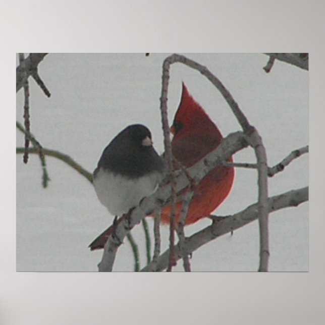 Poster Pássaros Ímpar (Frente)