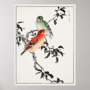 Poster Pássaros Japoneses