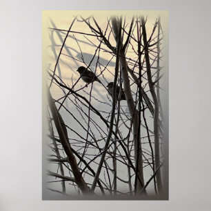 Poster Pássaros matinais