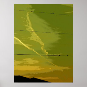Póster Pássaros no por do sol