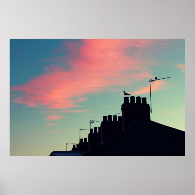 Póster Pássaros primitivos (Frente)