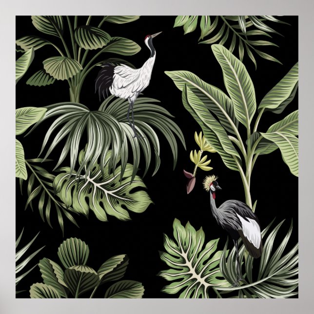 Poster Pássaros tropicais, palmeiras, proibição (Frente)