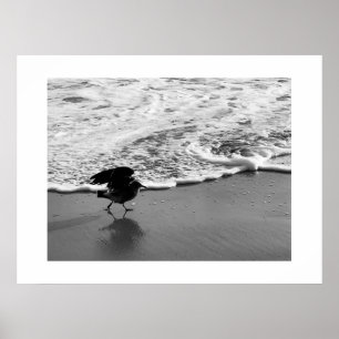Poster Passear pela Waves California Color Photoographic