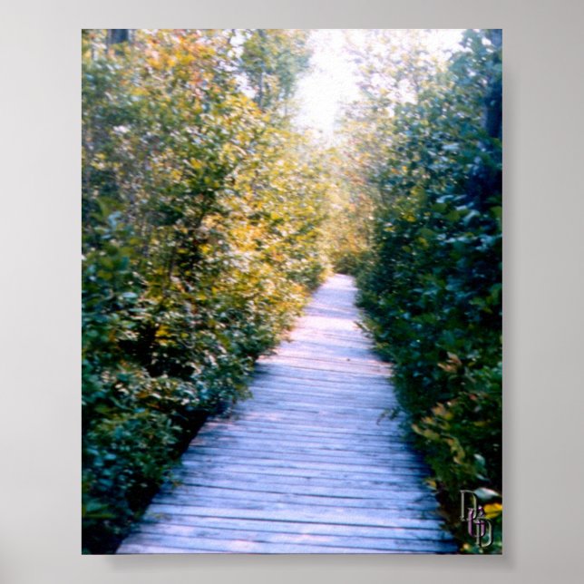 Poster Passeio (Frente)