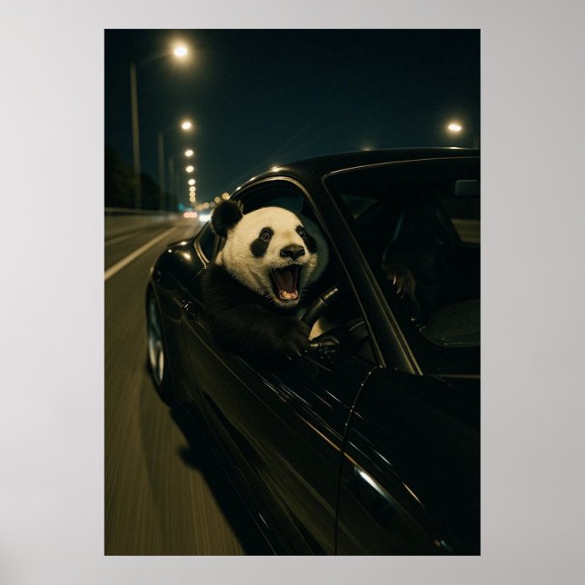 Poster Passeio à Meia-Noite – Panda Divertido em uma Pare (Frente)