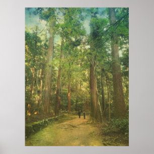 Póster Passeio ao longo da floresta tranquilo Kyoto Japã